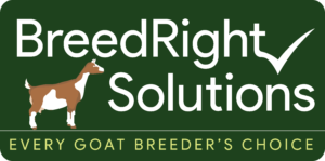 BreeedRght Solutions